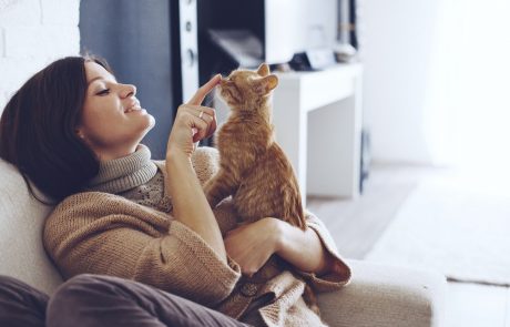 שואפים גבוה: 10 עובדות על חתולים